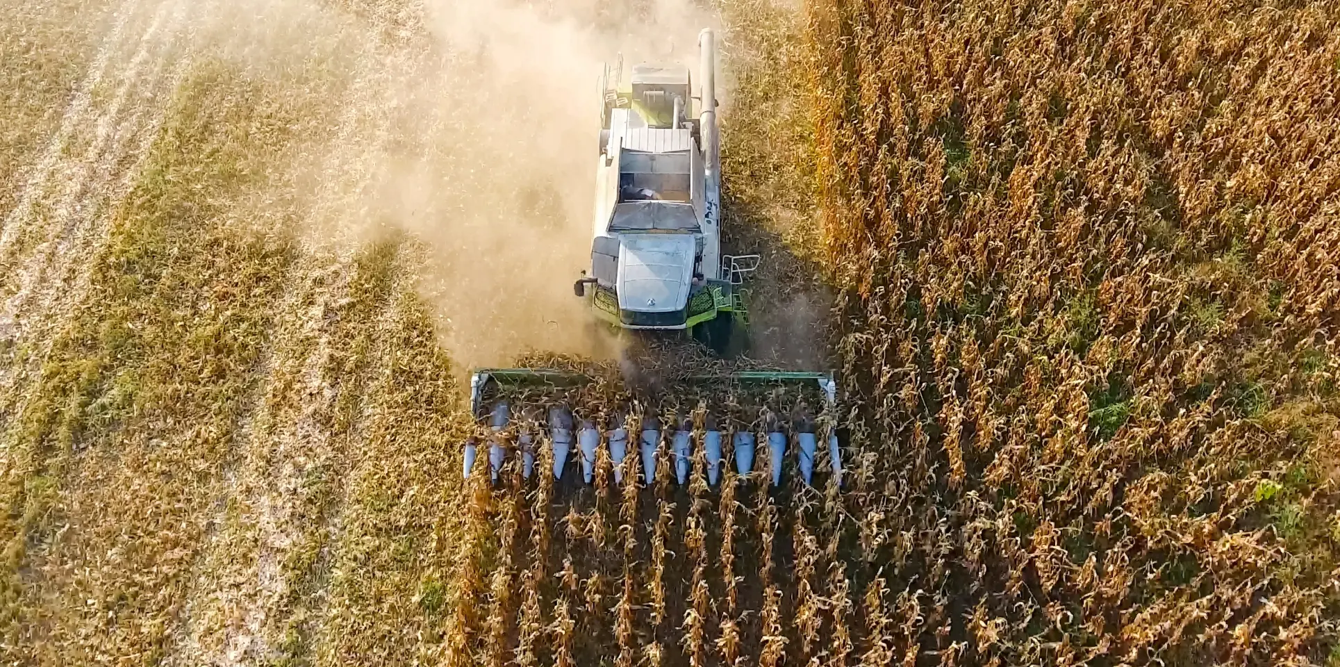 Gülda Soğuk Hava Deposu - Mersin