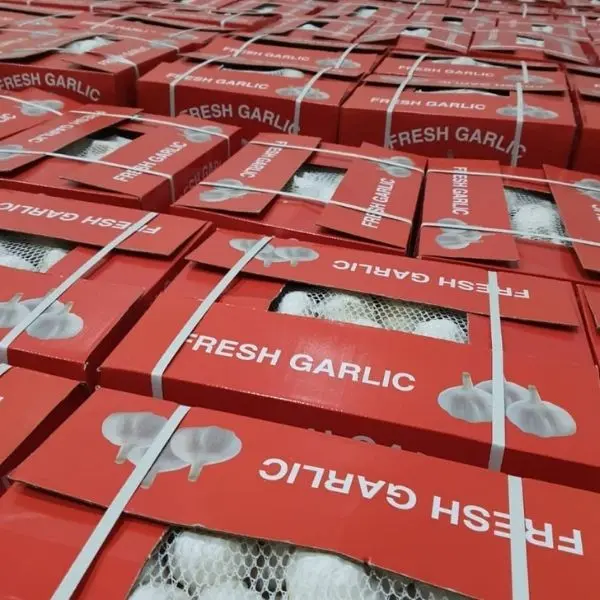 Gülda Soğuk Hava Deposu - Mersin